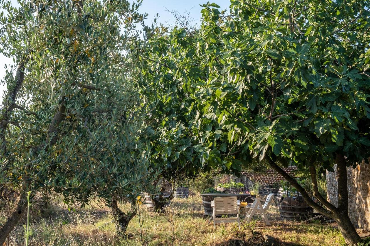 Podere Pruneto ラッダ・イン・キアンティ エクステリア 写真