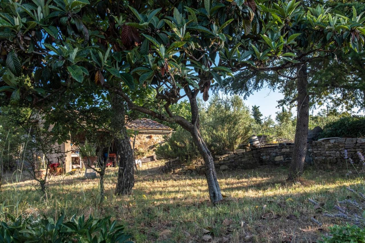 Podere Pruneto ラッダ・イン・キアンティ エクステリア 写真